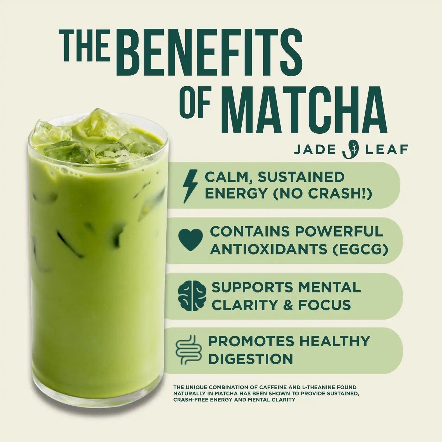 Matcha Latte Concentrate (6-Pack)