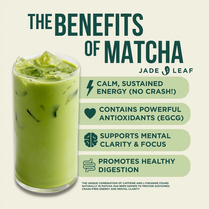 Matcha Latte Concentrate (6-Pack)